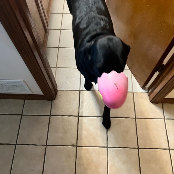 Meet your Posher, Ray - Picture 2 of 2